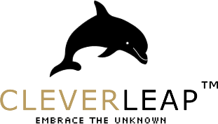 Clever Leap - embrace the unknown